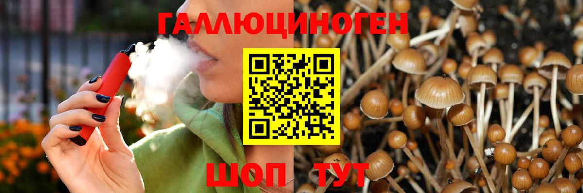 Псилоцибиновые грибы Magic Shrooms  Псилоцибиновые грибы Psilocybe  Тихвин  Вход с VPN 
